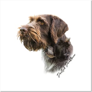 German Wirehaired Pointer Posters and Art